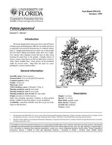 Fatsia japonica Introduction October, 1999 Fact Sheet FPS-210