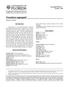 Forestiera segregata Introduction October, 1999 Fact Sheet FPS-213