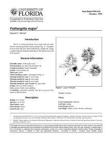 Fothergilla major Introduction October, 1999 Fact Sheet FPS-215