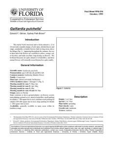 Gaillardia pulchella Introduction October, 1999 Fact Sheet FPS-216