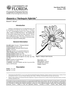 Gazania x ‘Harlequin Hybrids’ Introduction October, 1999 Fact Sheet FPS-227