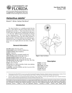 Helianthus debilis Introduction October, 1999 Fact Sheet FPS-245