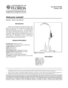 Heliconia rostrata Introduction October, 1999 Fact Sheet FPS-248