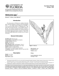 Heliconia spp. Introduction October, 1999 Fact Sheet FPS-249
