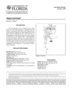 Hoya carnosa Introduction October, 1999 Fact Sheet FPS-257