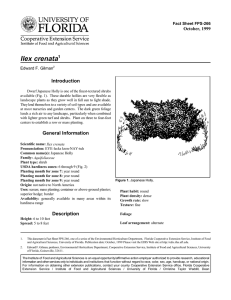Ilex crenata Introduction October, 1999 Fact Sheet FPS-266