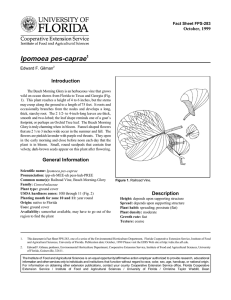 Ipomoea pes-caprae Introduction October, 1999 Fact Sheet FPS-283