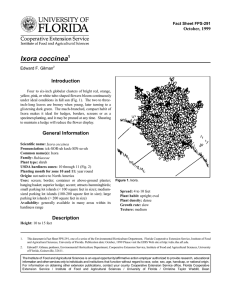 Ixora coccinea Introduction October, 1999 Fact Sheet FPS-291