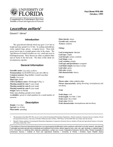 Leucothoe axillaris Introduction October, 1999 Fact Sheet FPS-340