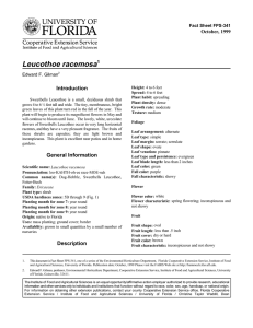 Leucothoe racemosa Introduction October, 1999 Fact Sheet FPS-341