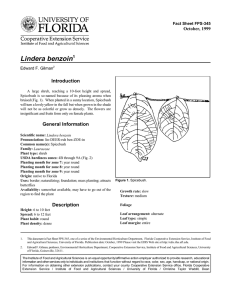 Lindera benzoin Introduction October, 1999 Fact Sheet FPS-345