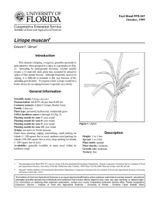 Liriope muscari Introduction October, 1999 Fact Sheet FPS-347
