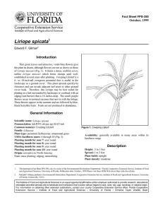 Liriope spicata Introduction October, 1999 Fact Sheet FPS-350