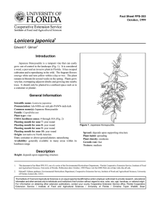 Lonicera japonica Introduction October, 1999 Fact Sheet FPS-353
