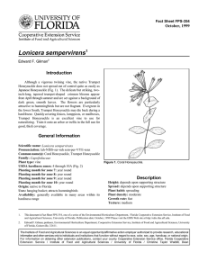 Lonicera sempervirens Introduction October, 1999 Fact Sheet FPS-354
