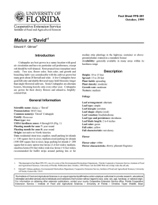 Malus x ‘David’ Introduction October, 1999 Fact Sheet FPS-391