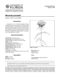 Monarda punctata Introduction October, 1999 Fact Sheet FPS-413