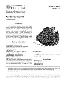 Nandina domestica Introduction October, 1999 Fact Sheet FPS-421