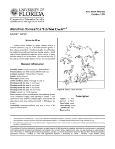 Nandina domestica ‘Harbor Dwarf’ Introduction October, 1999 Fact Sheet FPS-422