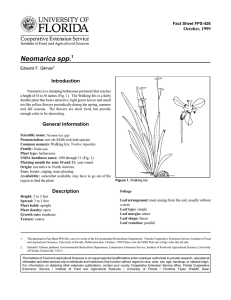 Neomarica spp. Introduction October, 1999 Fact Sheet FPS-426