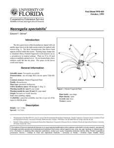 Neoregelia spectabilis Introduction October, 1999 Fact Sheet FPS-425
