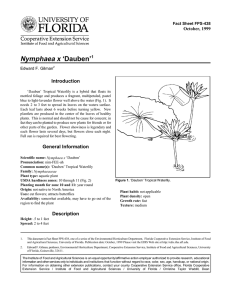 Nymphaea x ‘Dauben’ Introduction October, 1999 Fact Sheet FPS-438