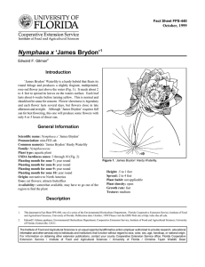 Nymphaea x ‘James Brydon’ Introduction October, 1999 Fact Sheet FPS-440