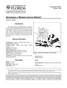 Nymphaea x ‘Madame Ganna Walska’ Introduction October, 1999 Fact Sheet FPS-441