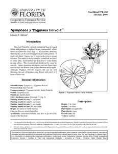 Nymphaea x ‘Pygmaea Helvola’ Introduction October, 1999 Fact Sheet FPS-442