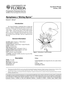 Nymphaea x ‘Shirley Byrne’ Introduction October, 1999 Fact Sheet FPS-443
