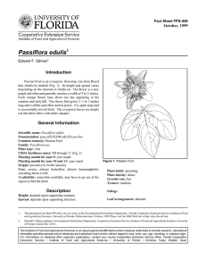 Passiflora edulis Introduction October, 1999 Fact Sheet FPS-456