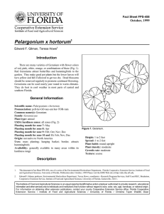 Pelargonium x hortorum Introduction October, 1999 Fact Sheet FPS-458