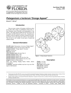 Pelargonium x hortorum ‘Orange Appeal’ Introduction October, 1999 Fact Sheet FPS-459