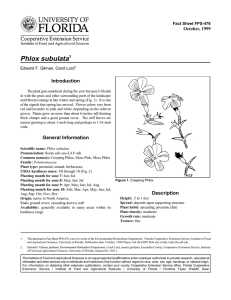 Phlox subulata Introduction October, 1999 Fact Sheet FPS-476