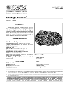 Plumbago auriculata Introduction October, 1999 Fact Sheet FPS-487