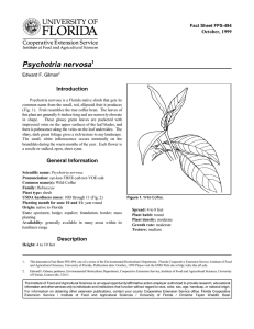 Psychotria nervosa Introduction October, 1999 Fact Sheet FPS-494