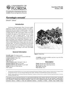 Pyrostegia venusta Introduction October, 1999 Fact Sheet FPS-496