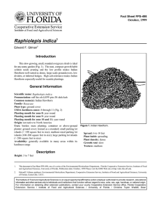 Raphiolepis indica Introduction October, 1999 Fact Sheet FPS-498