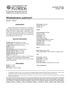 Rhododendron austrinum Introduction October, 1999 Fact Sheet FPS-503