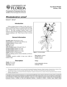 Rhododendron simsii Introduction October, 1999 Fact Sheet FPS-507