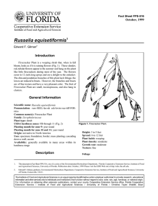 Russelia equisetiformis Introduction October, 1999 Fact Sheet FPS-516