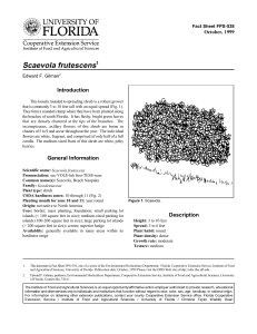 Scaevola frutescens Introduction October, 1999 Fact Sheet FPS-538