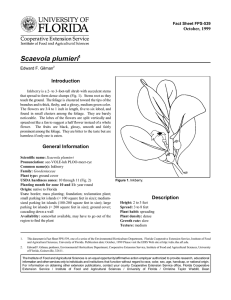 Scaevola plumieri Introduction October, 1999 Fact Sheet FPS-539