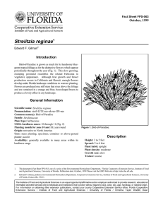 Strelitzia reginae Introduction October, 1999 Fact Sheet FPS-563