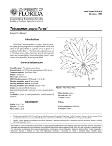 Tetrapanax papyriferus Introduction October, 1999 Fact Sheet FPS-576