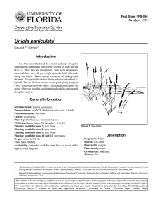 Uniola paniculata Introduction October, 1999 Fact Sheet FPS-594