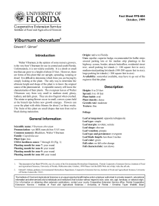 Viburnum obovatum Introduction October, 1999 Fact Sheet FPS-604