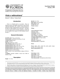 Viola x wittrockiana Introduction October, 1999 Fact Sheet FPS-609