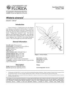 Wisteria sinensis Introduction October, 1999 Fact Sheet FPS-613