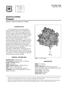 Asimina triloba Pawpaw Fact Sheet ST-86 1